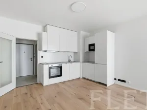 Pronájem bytu 1+kk, Praha - Vršovice, Krymská, 30 m2