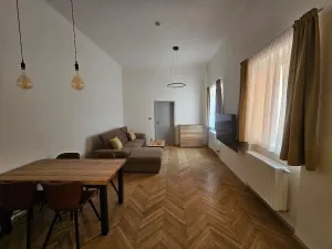 Pronájem bytu 2+kk, České Budějovice - České Budějovice 1, Dr. Stejskala, 60 m2
