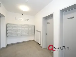 Pronájem bytu 1+kk, Praha - Letňany, Vyletalova, 31 m2