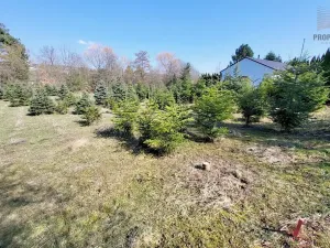 Prodej komerčního pozemku, Popůvky, 971 m2