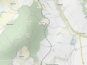 Dražba lesa, Nová Hradečná, 6750 m2