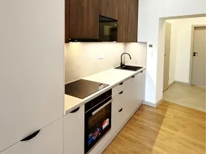 Prodej bytu 2+kk, Český Těšín, Frýdecká, 44 m2