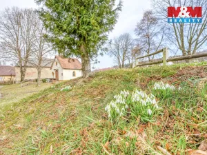 Prodej rodinného domu, Přimda - Újezd pod Přimdou, 100 m2
