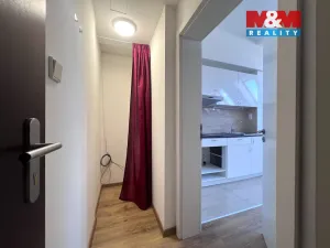 Pronájem obchodního prostoru, Prostějov, 42 m2