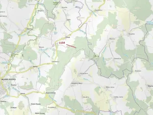 Dražba lesa, Vilice, 2384 m2