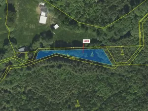 Dražba lesa, Čestín, 795 m2