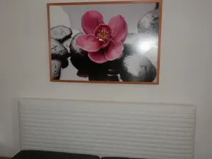 Pronájem bytu 2+1, Česká Lípa, Mlýnská, 48 m2