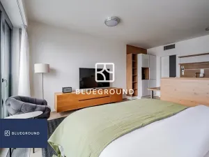 Pronájem bytu 1+kk, Praha - Žižkov, Olšanská, 35 m2