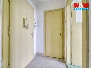 Prodej bytu 1+kk, Kralovice, Na Palcátech, 28 m2