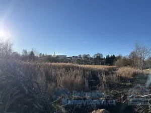 Prodej pozemku pro bydlení, Světlík, 13408 m2