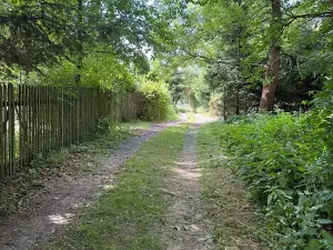 Prodej pozemku, Arnoltice, 924 m2