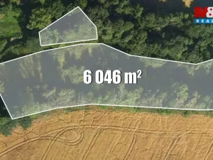 Prodej louky, Bílá - Hradčany, 6046 m2
