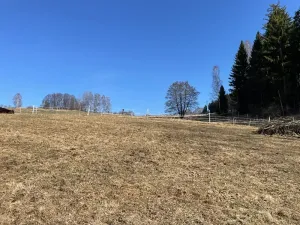 Prodej zemědělské usedlosti, Jeseník, 180 m2