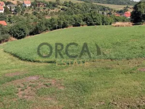 Prodej louky, Košíky, 3748 m2