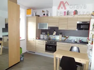 Pronájem bytu 1+kk, Brno, Marie Steyskalové, 20 m2