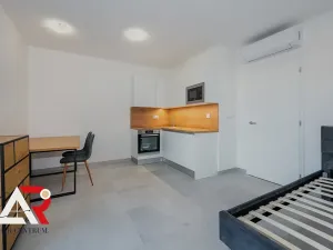 Pronájem bytu 1+kk, Brno, Bratislavská, 28 m2
