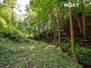 Prodej rodinného domu, Bukovina u Čisté, 205 m2