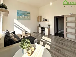 Pronájem bytu 1+kk, Brno, Koliště, 31 m2