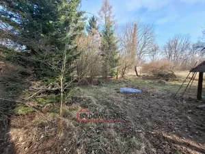 Prodej zahrady, Nové Mitrovice, 1216 m2