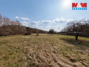 Prodej pozemku pro bydlení, Sadov - Lesov, 4925 m2