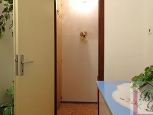 Pronájem bytu 1+1, Doksy, Hálkova, 42 m2