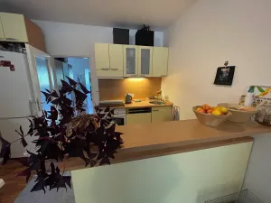 Prodej bytu 3+kk, Brno, bratří Žůrků, 68 m2