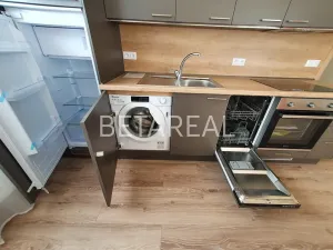 Pronájem bytu 1+kk, Brno, Plotní, 49 m2