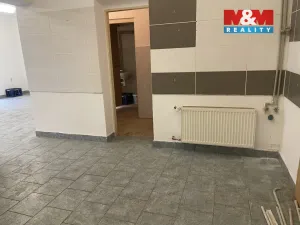 Pronájem obchodního prostoru, Ostrava - Mariánské Hory, Přemyslovců, 48 m2