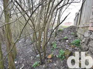 Prodej zahrady, Černčice, 810 m2