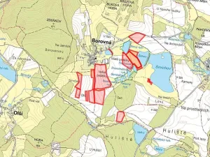 Prodej podílu pole, Borovná, 60983 m2