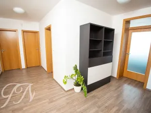 Prodej rodinného domu, Ochoz u Brna, Pastýřky, 169 m2