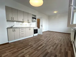 Pronájem bytu 2+kk, Brno, Renneská třída, 48 m2