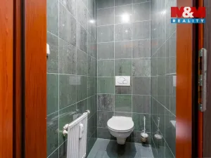 Prodej obchodního prostoru, Praha, Trnkovo náměstí, 324 m2