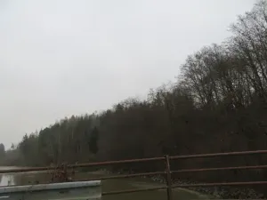 Dražba lesa, Zlín, 6641 m2