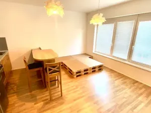 Pronájem bytu 1+kk, Brno, Přadlácká, 31 m2
