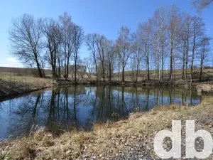 Prodej rybníku, Toužim, 5506 m2