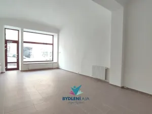 Pronájem obchodního prostoru, Teplice, Masarykova třída, 120 m2