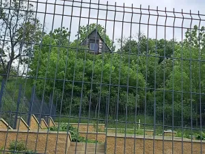 Dražba chaty, Velké Žernoseky, 18 m2