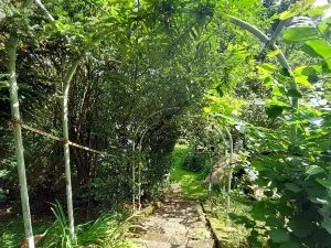 Prodej zahrady, Praha - Sedlec, 1947 m2