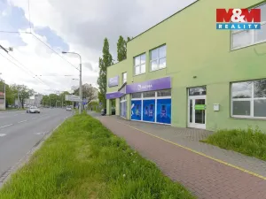 Pronájem kanceláře, Ostrava - Přívoz, Trocnovská, 240 m2