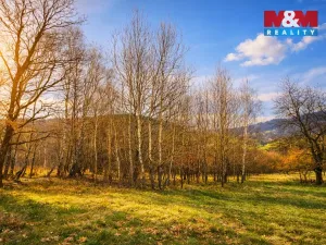 Prodej louky, Mikulůvka, 4458 m2