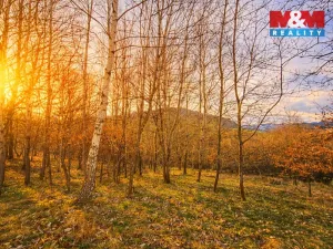 Prodej louky, Mikulůvka, 4458 m2