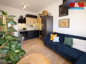 Pronájem bytu 2+kk, Praha - Podolí, Levá, 37 m2