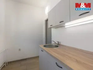 Prodej bytu 1+1, Ústí nad Labem - Severní Terasa, Šrámkova, 34 m2