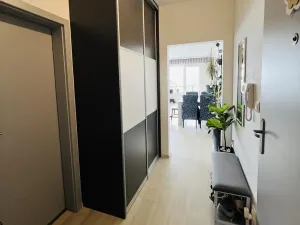 Pronájem bytu 2+kk, Olomouc, Loudova, 76 m2