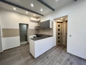 Pronájem bytu 2+1, Karlovy Vary, K. Čapka, 37 m2