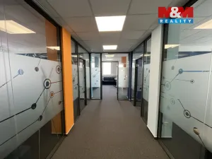 Pronájem kanceláře, Ostrava - Moravská Ostrava, Kounicova, 224 m2