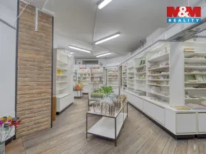 Pronájem obchodního prostoru, Plzeň - Vnitřní Město, Bedřicha Smetany, 304 m2