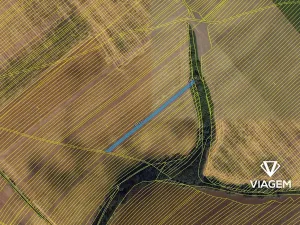 Prodej pole, Kunovice, 3154 m2