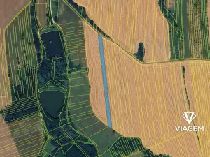 Prodej pole, Nedachlebice, 5762 m2